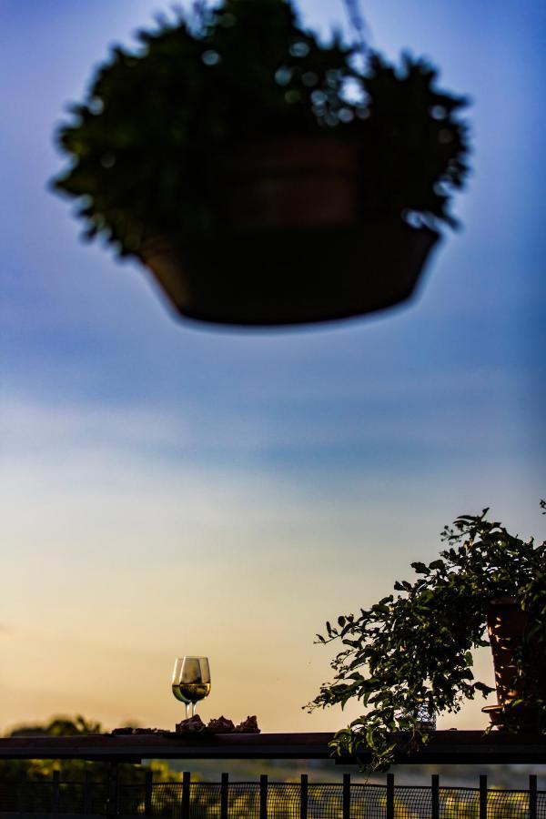 B&B Al Chicco D'Uva Morro dʼAlba Kültér fotó