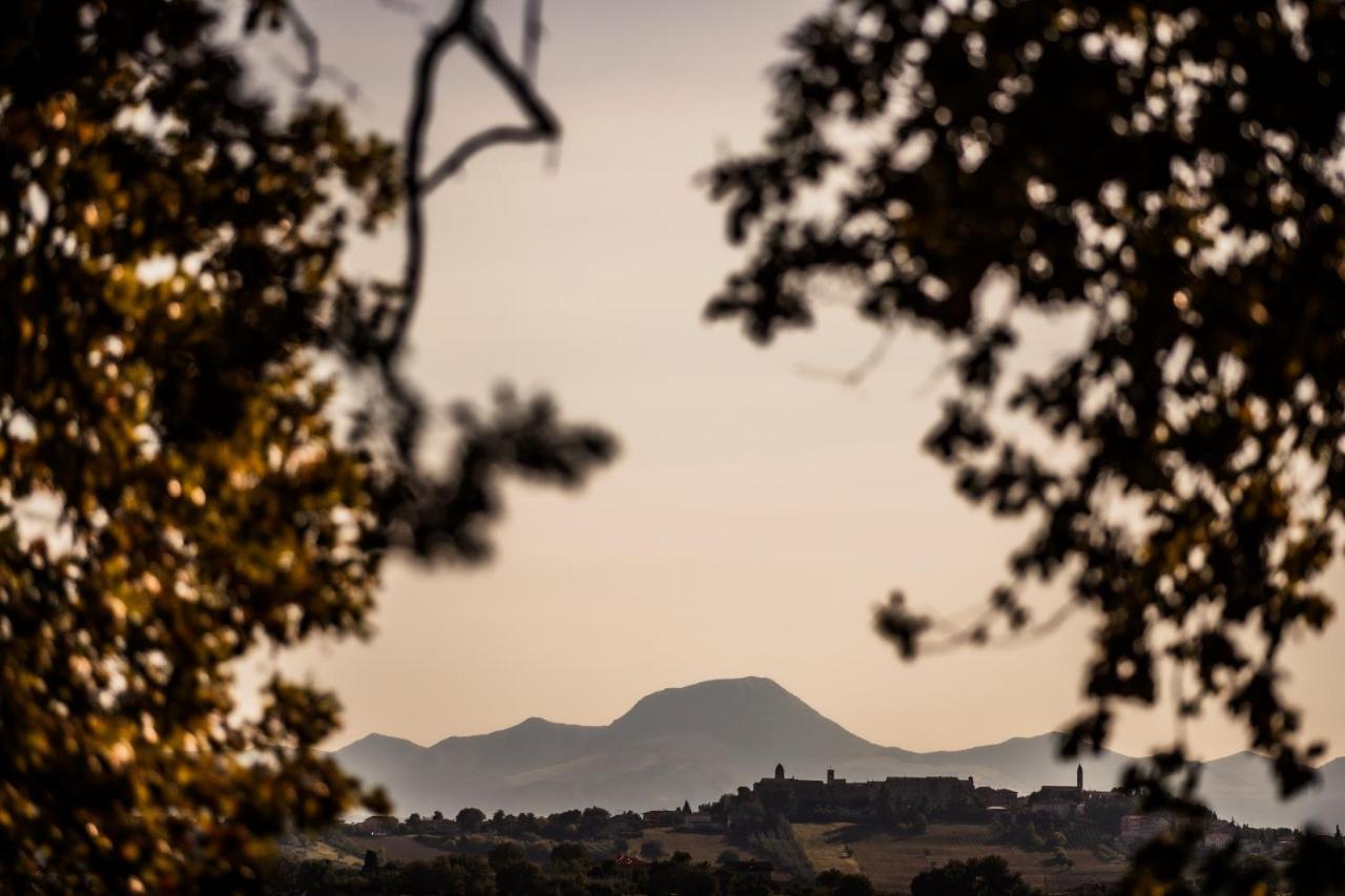 B&B Al Chicco D'Uva Morro dʼAlba Kültér fotó