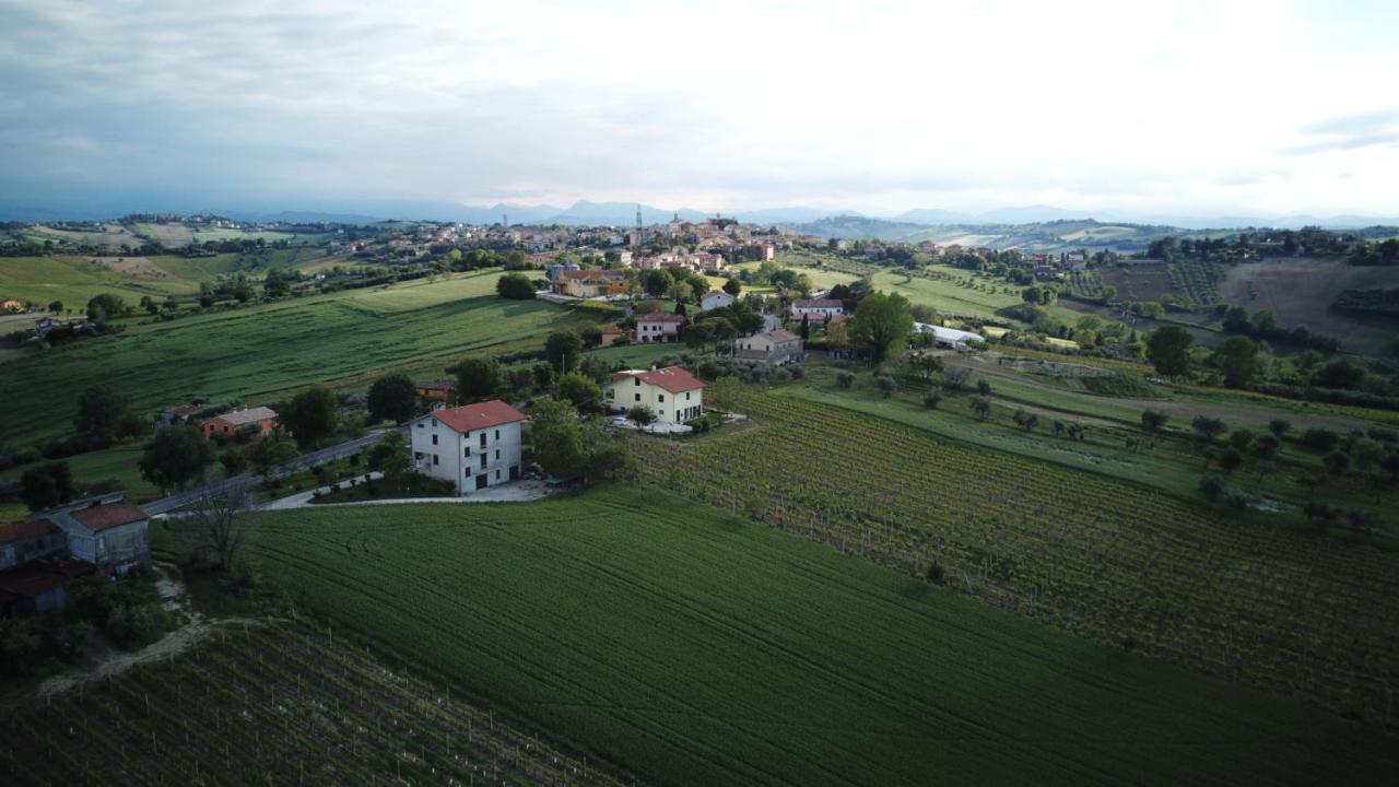 B&B Al Chicco D'Uva Morro dʼAlba Kültér fotó