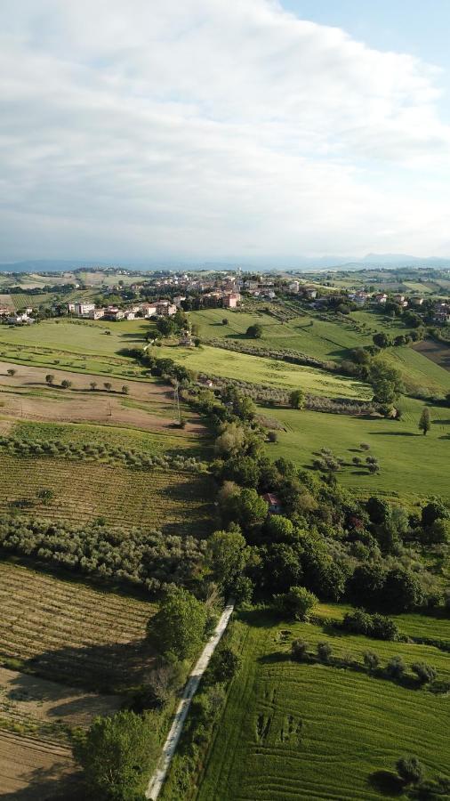 B&B Al Chicco D'Uva Morro dʼAlba Kültér fotó
